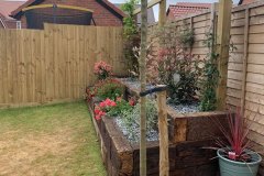 tree-garden-planting